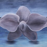 Floating above my Ocean